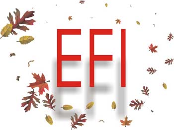 efi